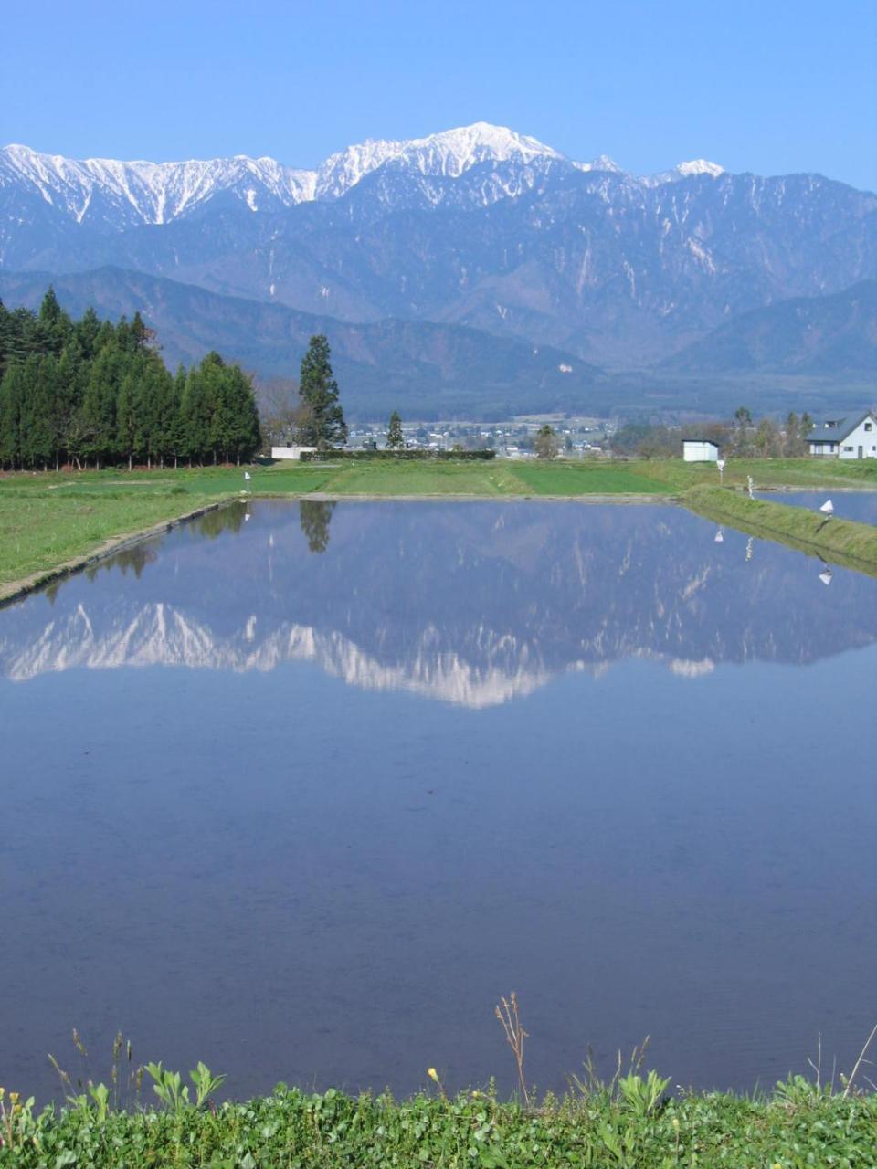 Mori No Michikusa Hotel Matsumoto Esterno foto
